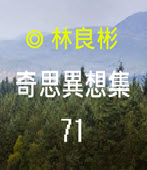 奇思異想集71  ◎林良彬-台灣e新聞