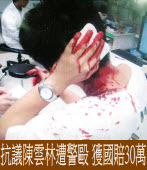 抗議陳雲林遭警毆 獲國賠30萬