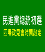民進黨總統初選  四場政見會時間敲定｜台灣e新聞 
