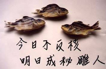 解讀秘雕魚事件
