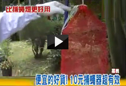 10元捕蠅器