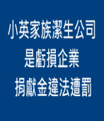 小英家族潔生公司是虧損企業 捐獻金違法遭罰｜台灣e新聞