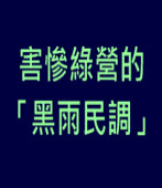 害慘綠營的「黑雨民調」｜台灣e新聞