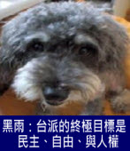 黑雨：台派的終極目標是民主、自由、與人權