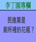 民進黨是廁所裡的花瓶﹖ ｜ 李丁園專欄｜台灣e新聞