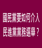 國民黨要如何介入民進黨黨務選舉？∣◎ jt｜台灣e新聞