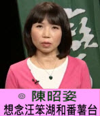 陳昭姿 ：想念汪笨湖和番薯台∣台灣e新聞