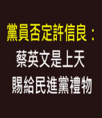 黨員否定許信良：蔡英文是上天賜給民進黨禮物 ∣台灣e新聞