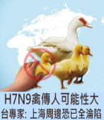 H7N9禽傳人可能性大　台專家：上海周邊恐已全淪陷∣台灣e新聞