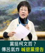 黨挺柯文哲？ 傳呂氣炸喊退黨提告  -台灣e新聞
