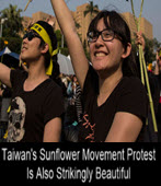 Taiwan's Sunflower Movement Protest Is Also Strikingly Beautiful-台灣e新聞