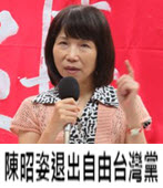 陳昭姿退出自由台灣黨：「平反扁案」未如承諾列為選戰主軸 -台灣e新聞