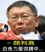 顏利真 : 白色力量微調中…- 台灣e新聞
