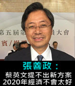 張善政：蔡英文提不出新方案 2020年經濟不會太好-台灣e新聞