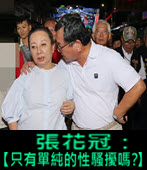 張花冠：【 只有單純的性騷擾嗎？】-台灣e新聞