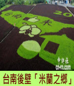 台南後壁稻田彩繪「米蘭之鄉」 - 台灣e新聞